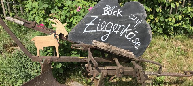 Käserei eröffnet in Pechgraben Käserei eröffnet in Pechgraben